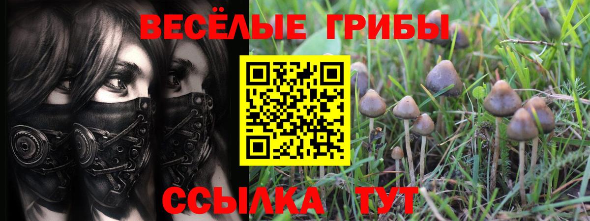 Галлюциногенные грибы прущие грибы  купить наркотики цена  Псилоцибиновые грибы мицелий  Реутов  Вход с VPN 