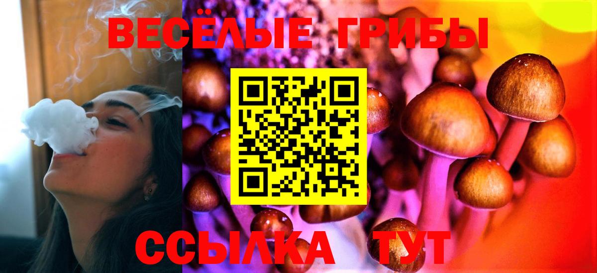 Псилоцибиновые грибы GOLDEN TEACHER Реутов